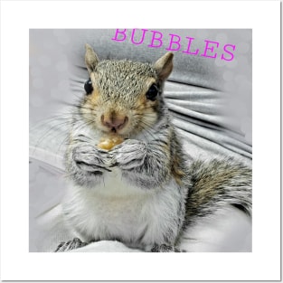 Bubbles the baby squirrel Posters and Art